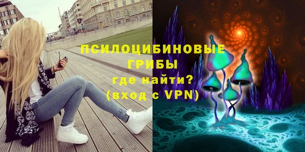 mdpv Лихославль