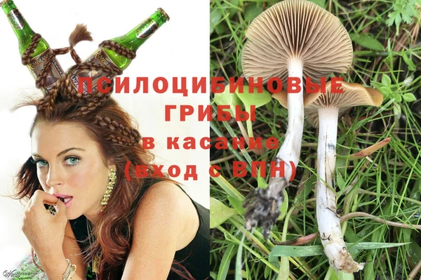 mdpv Лихославль