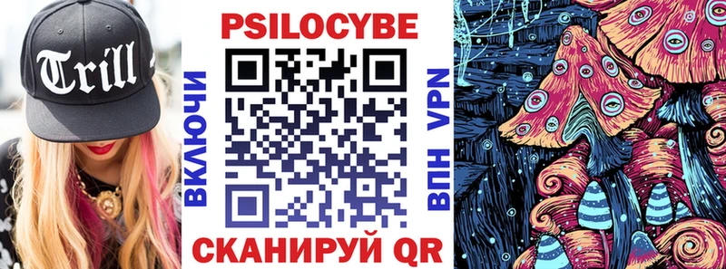 Псилоцибиновые грибы Psilocybe  Купить  Алзамай 