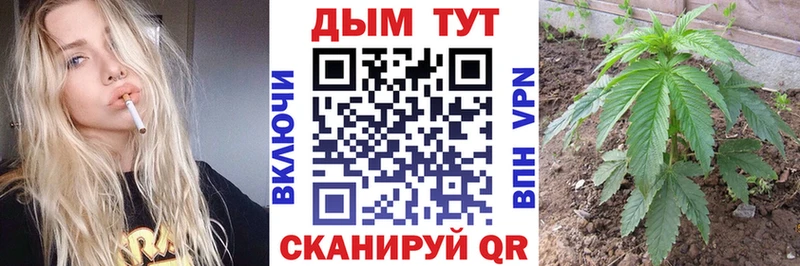 Купить закладки Алзамай Бошки Шишки тримм